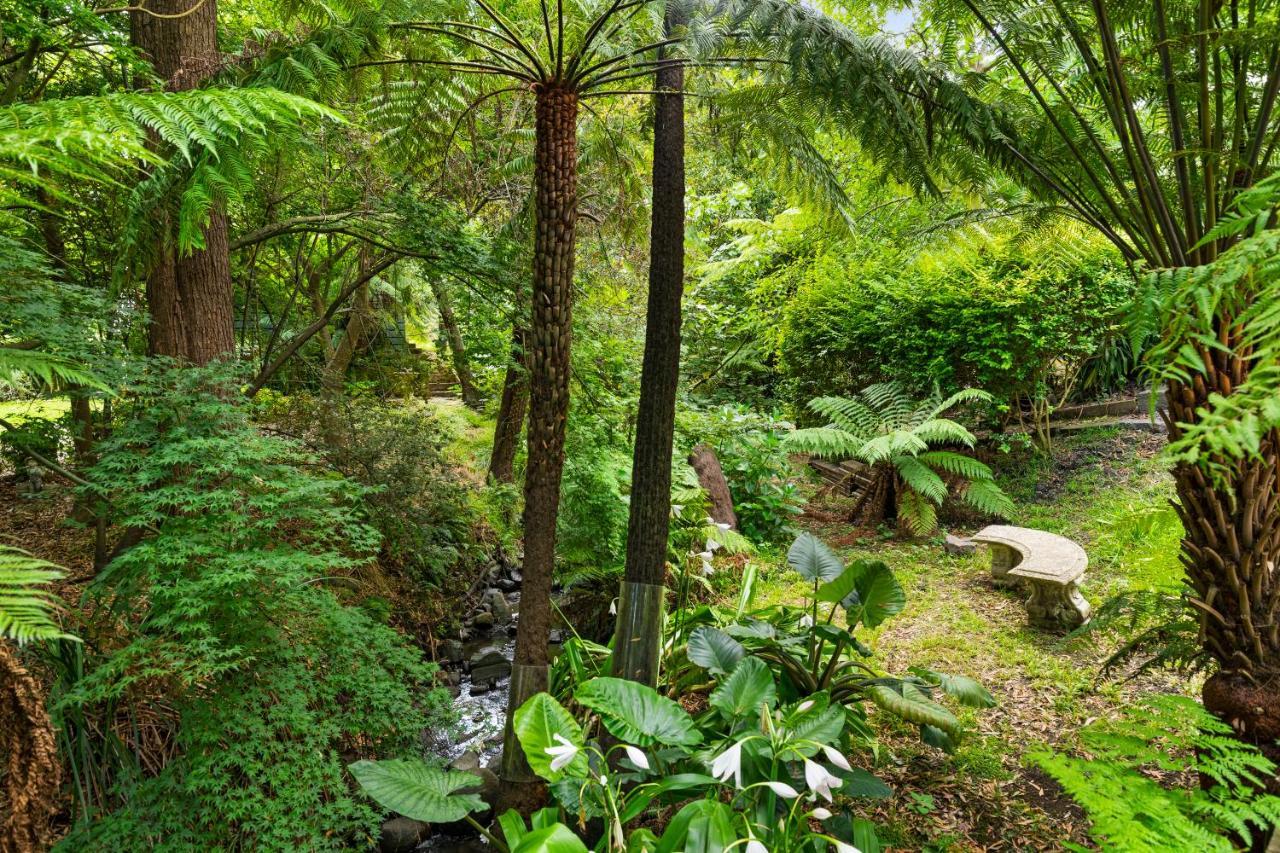 Paddys Creek Retreat Villa Upwey Eksteriør bilde