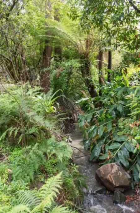 Paddys Creek Retreat Villa Upwey Eksteriør bilde